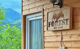Forrest-For Rest